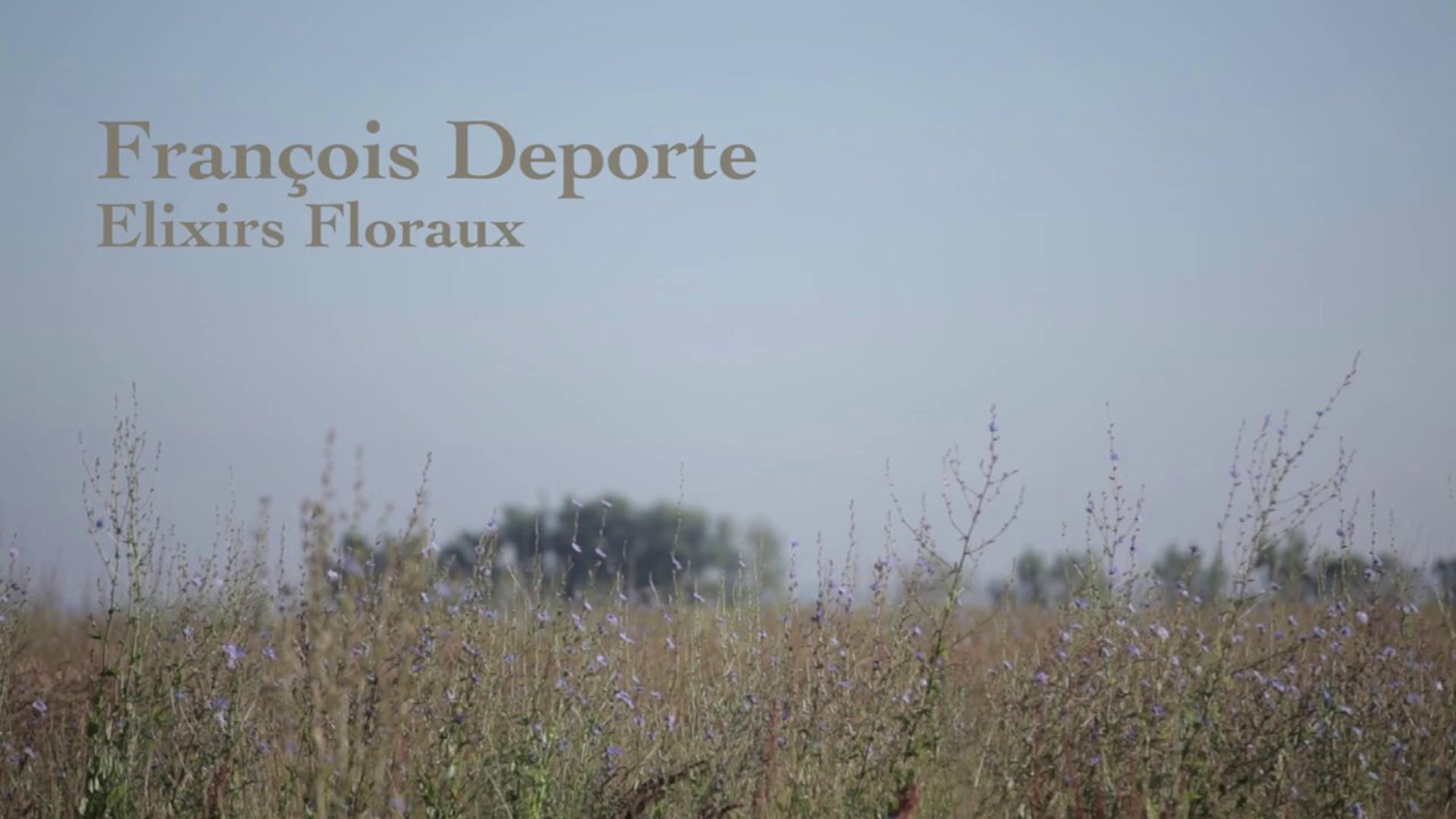 François Deporte {Elixirs Floraux}