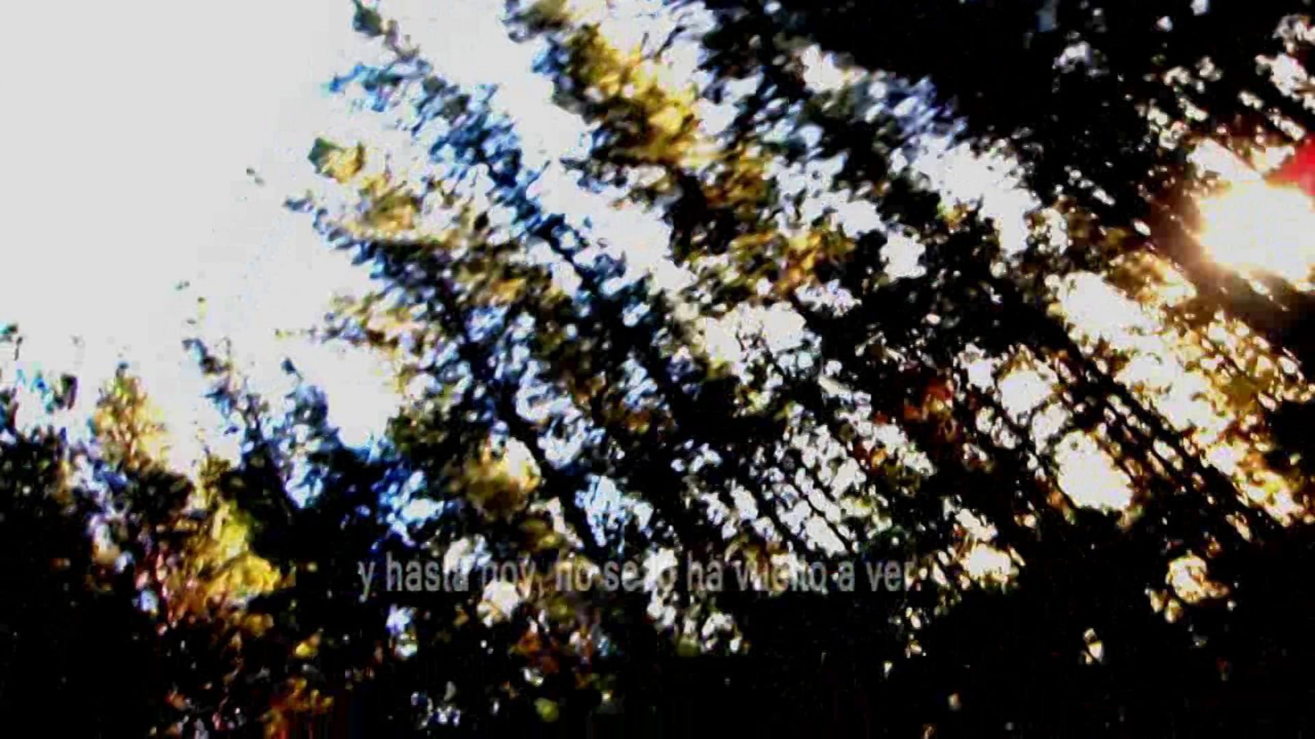 Trailer Documental Oyarzun Sardi