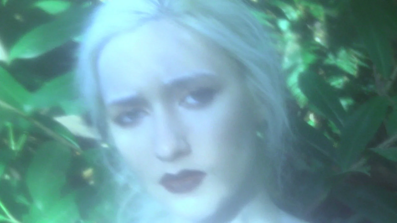 B. Forget me lost. Forget me lost. Forget me lost. Sally ledesma википедия.