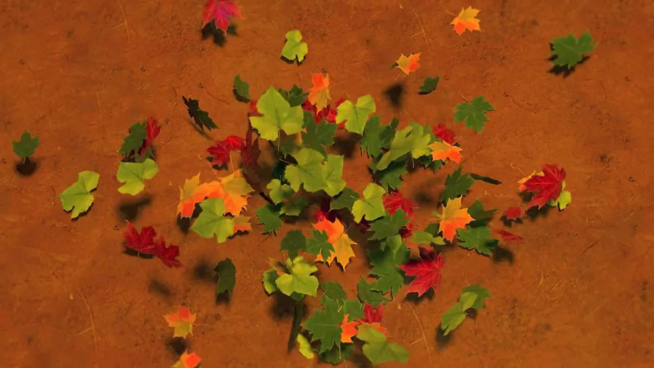 Fall 2011 on Vimeo