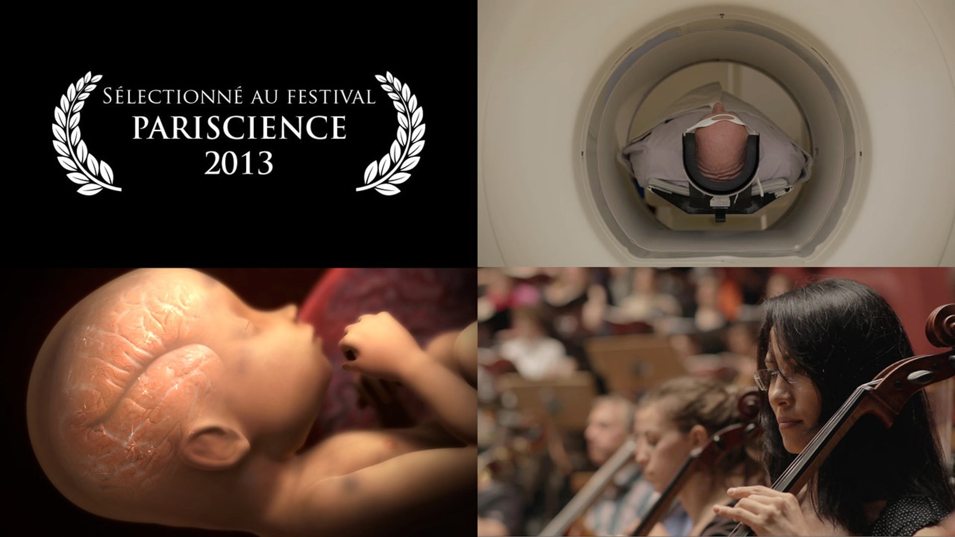 "Sur Les Traces De La Mémoire" - Docu/Fiction (FTV,AB,Encyclo,CNRS)