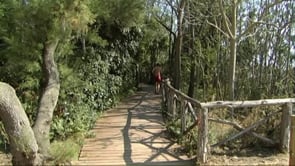 Millores al passeig d''Empúries