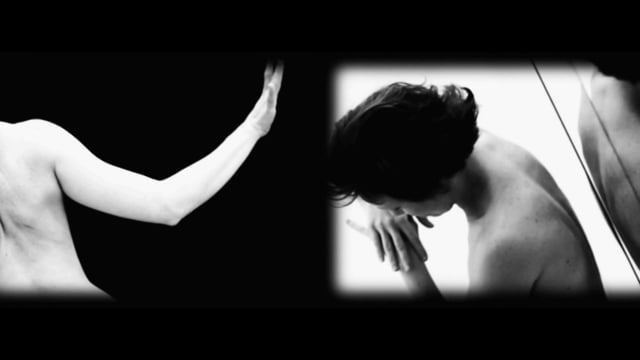 DANZA EN VIDEO/VIDEODANZA