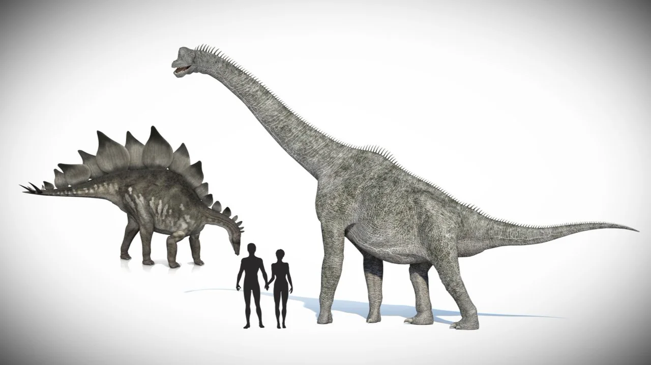 Dino human. Динозавры и люди. Человек изображает динозавра. Динозавр в полный рост. Какой рост у динозавра.