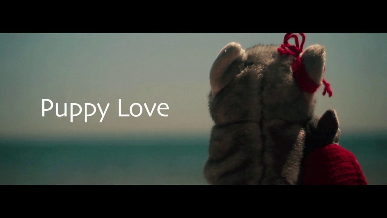 My first short film - Puppy Love