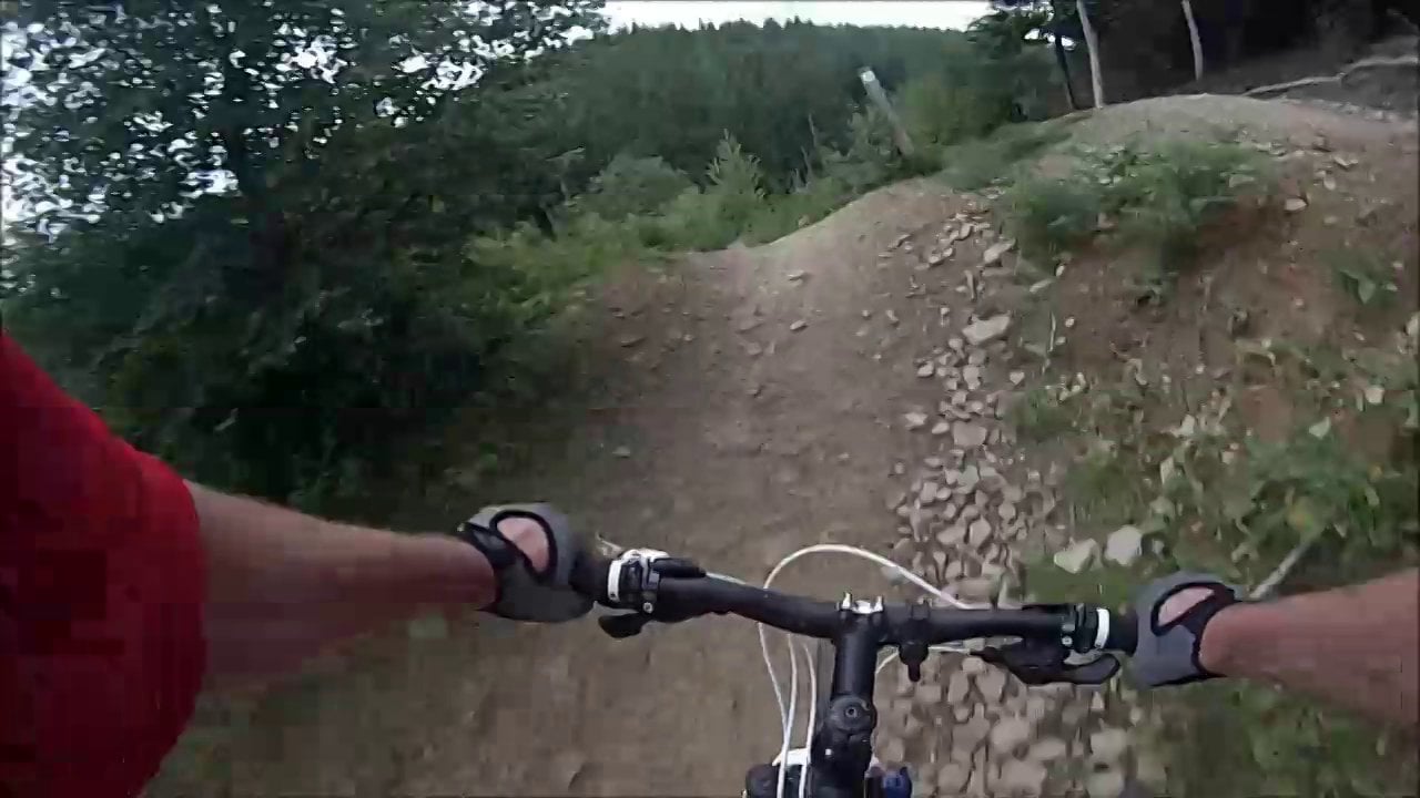 Forest of Dean - Verderer's Trail