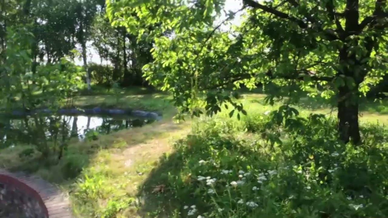 Nackt im Teich schwimmen on Vimeo
