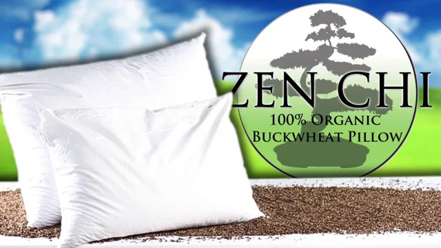 Zen chi shop buckwheat pillow