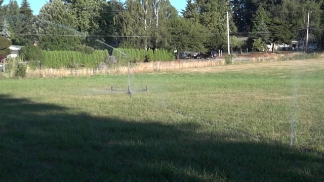 Sprinkler and line test