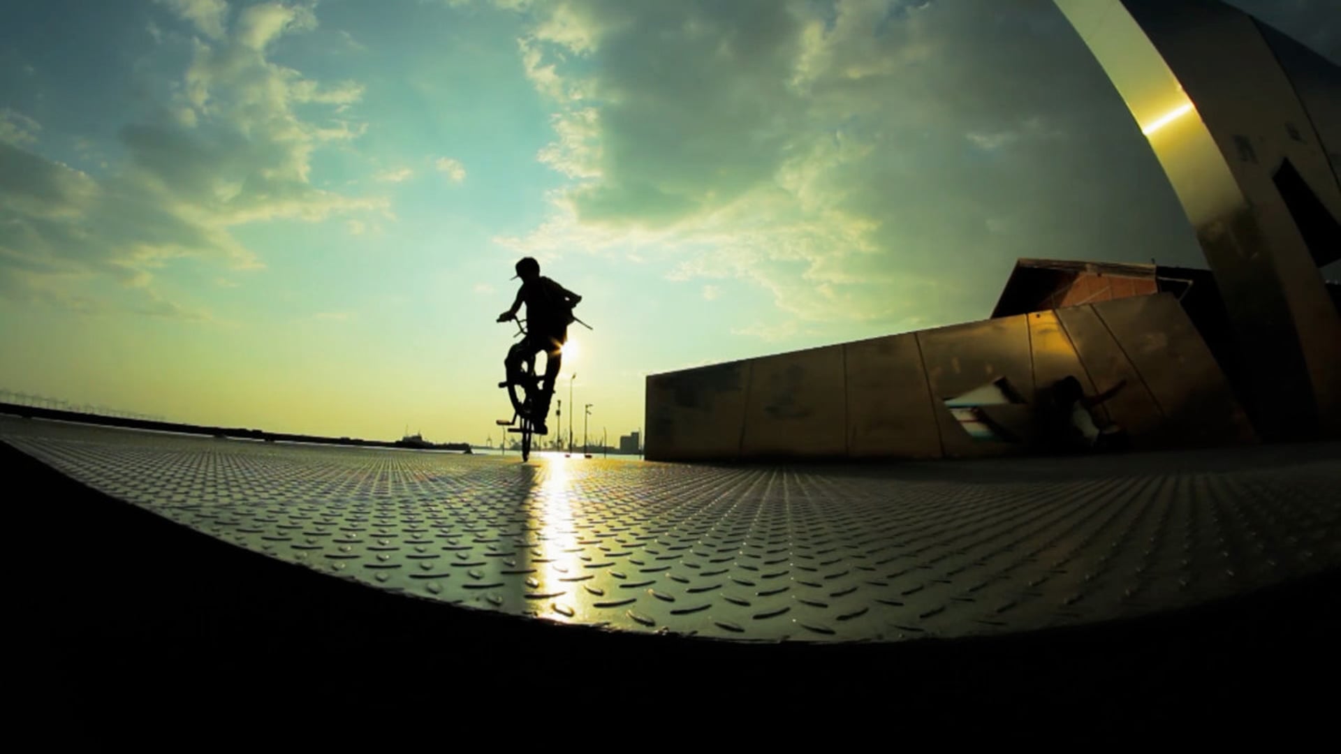 Promotional video thumbnail 3 for Alex Professional Bmx Flatland Show