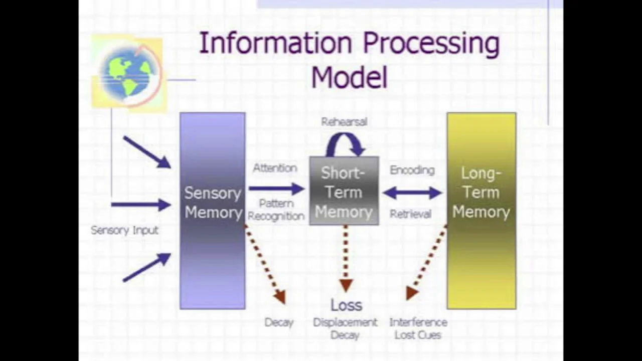 Information processes. Information processing. Long short term Memory. Teaching process.