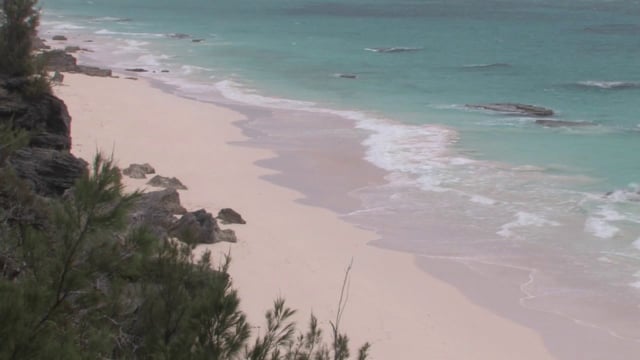 Bermuda Beach