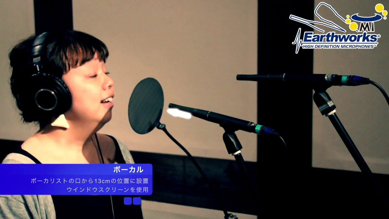 【セット値下げ　2本売り要相談可 コメント下さい】EARTHWORKS SR20 2本セット要相談可 コメント下さい】EARTHWORKS SR20