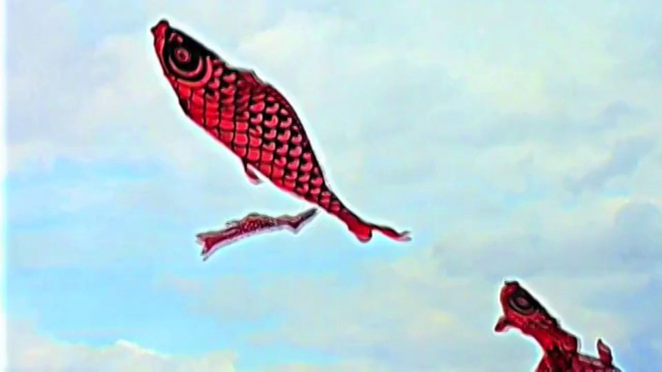 Shimabuku - When the Sky was Sea
