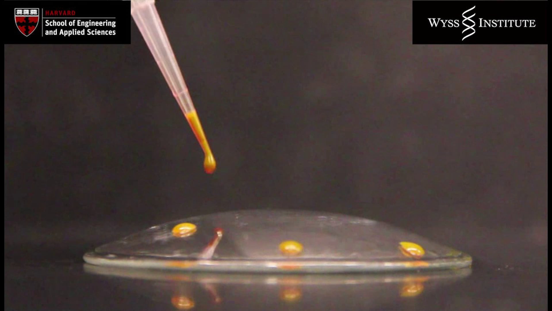 New coating turns ordinary glass into superglass