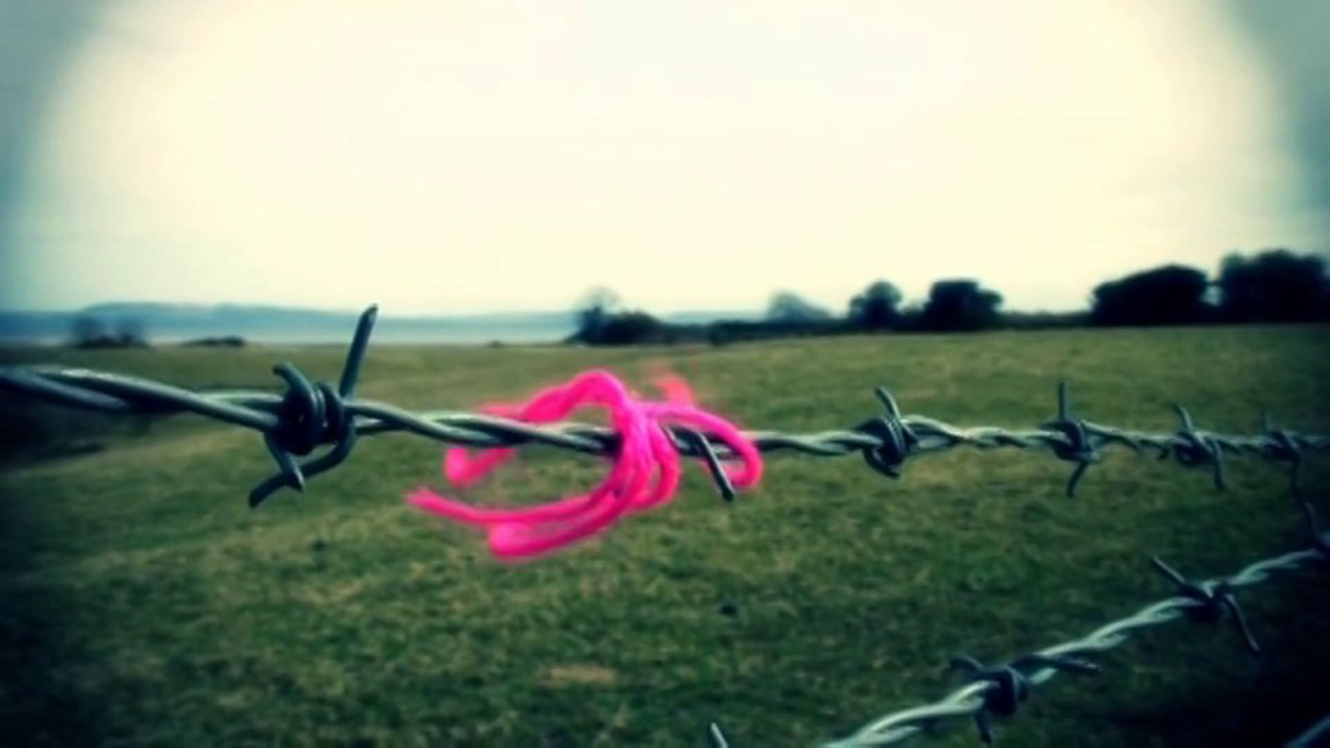Liminal Lands (2011)