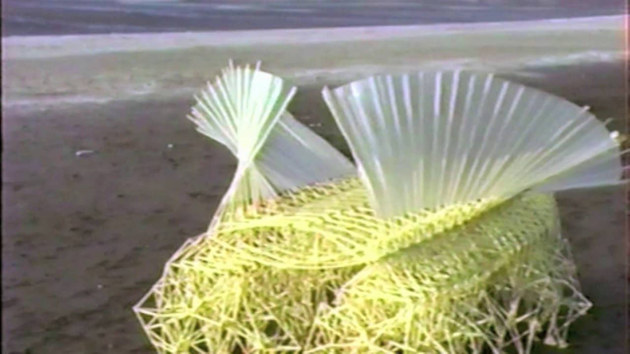 Compilation On Vimeo