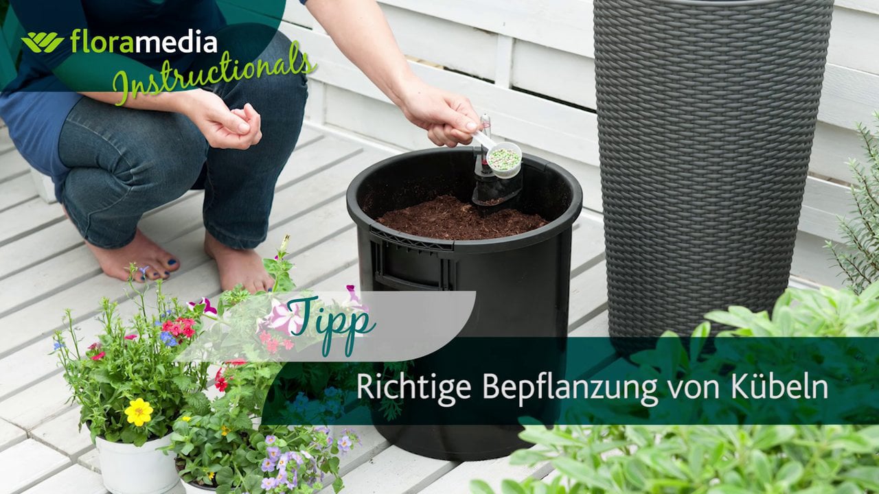 Richtige Bepflanzung von Kübeln on Vimeo
