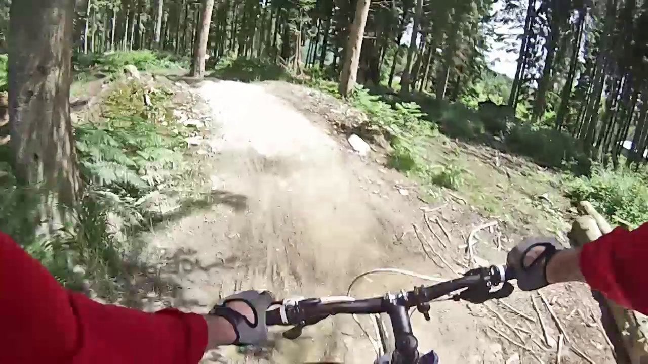 Forest of Dean Downhill