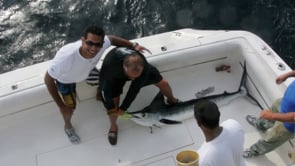 Fazil The Marlin Man — Ocean City, Maryland