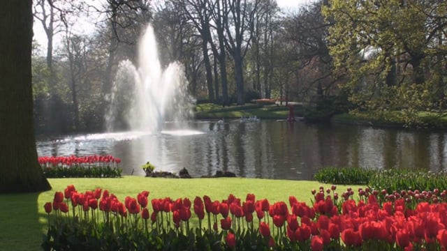 Garden Fountain in a Tulip Garden
