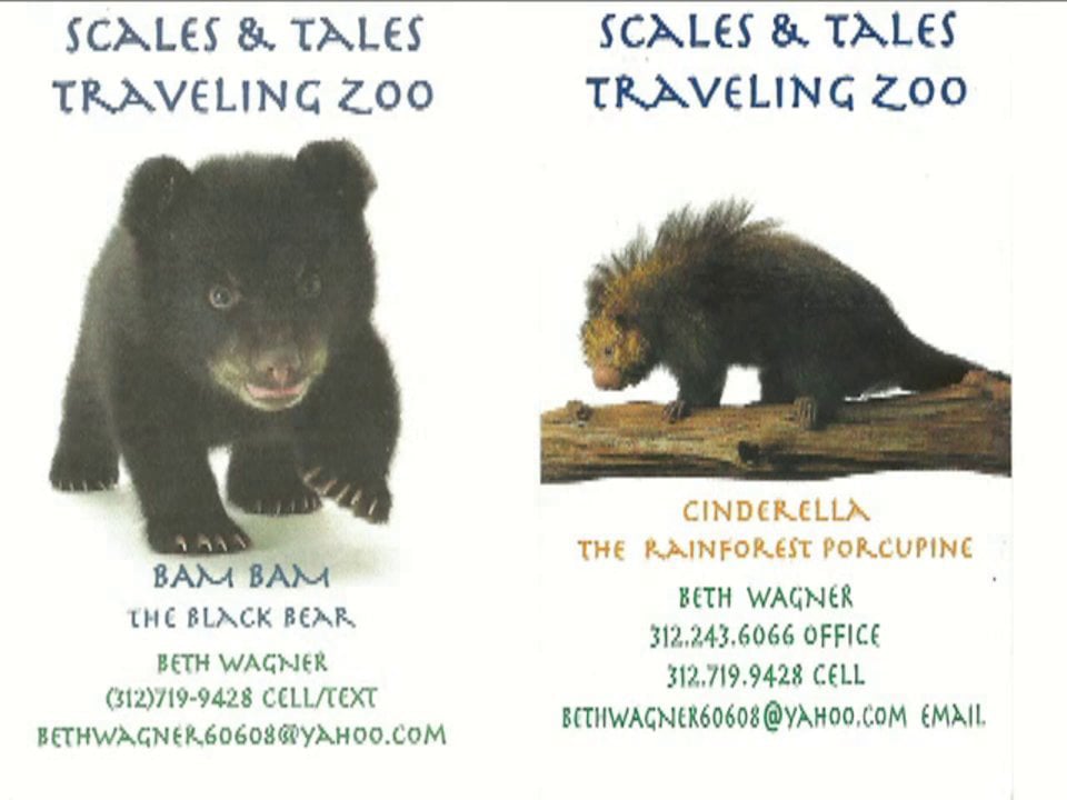 Scales & Tales Traveling Zoo on Vimeo