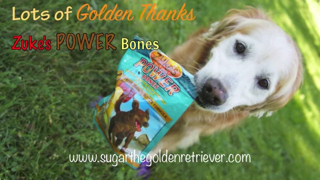 Zuke's power hot sale bones