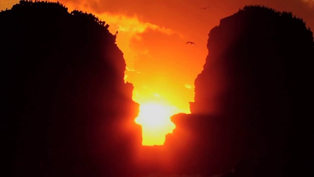 ArtBarn Film Reel from ArtBarn Film