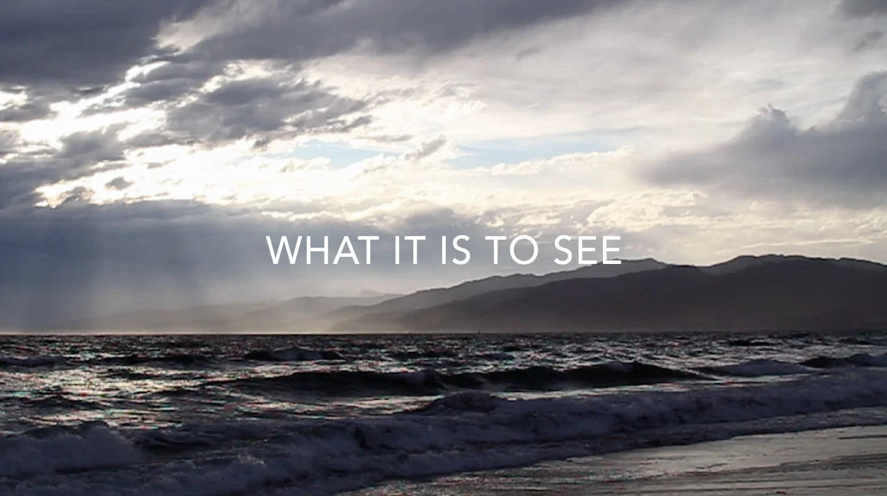 Alan Watts - What it is to See on Vimeo