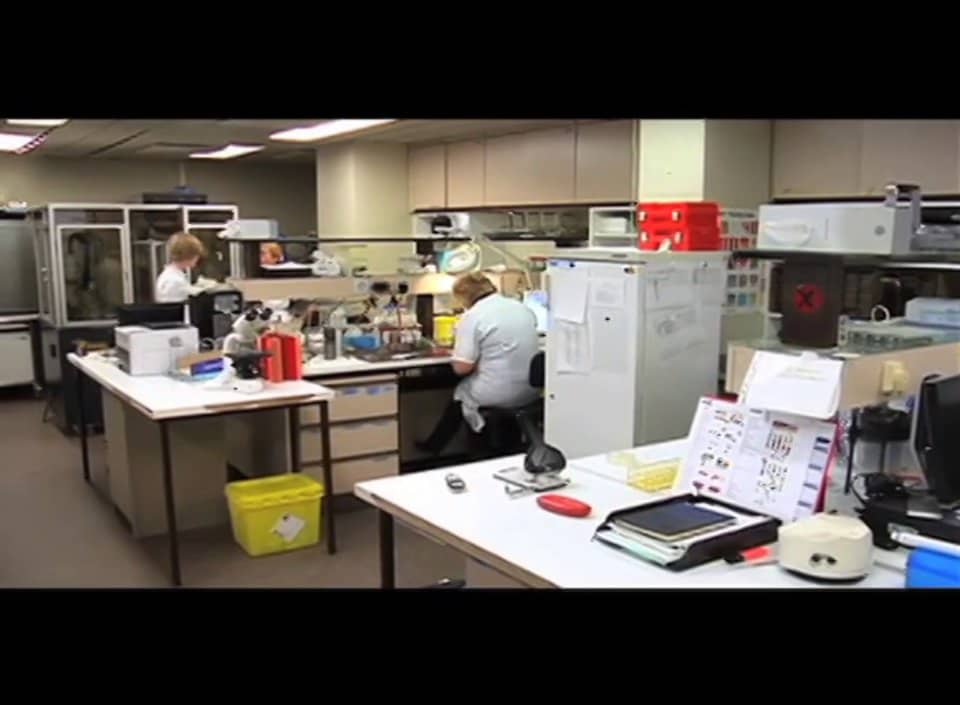 WASP Users Discuss the Benefits of Automation on Vimeo