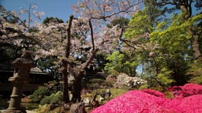 Visit California - Customer Success Story