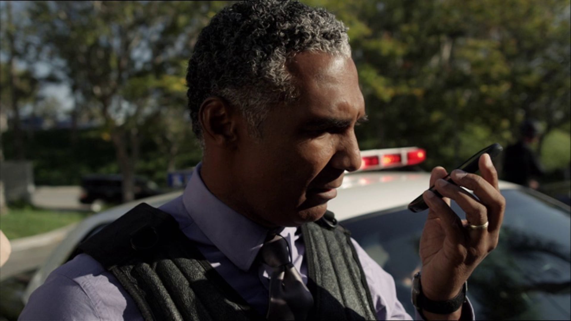 AGE OF DINOSAURS - MONDAY