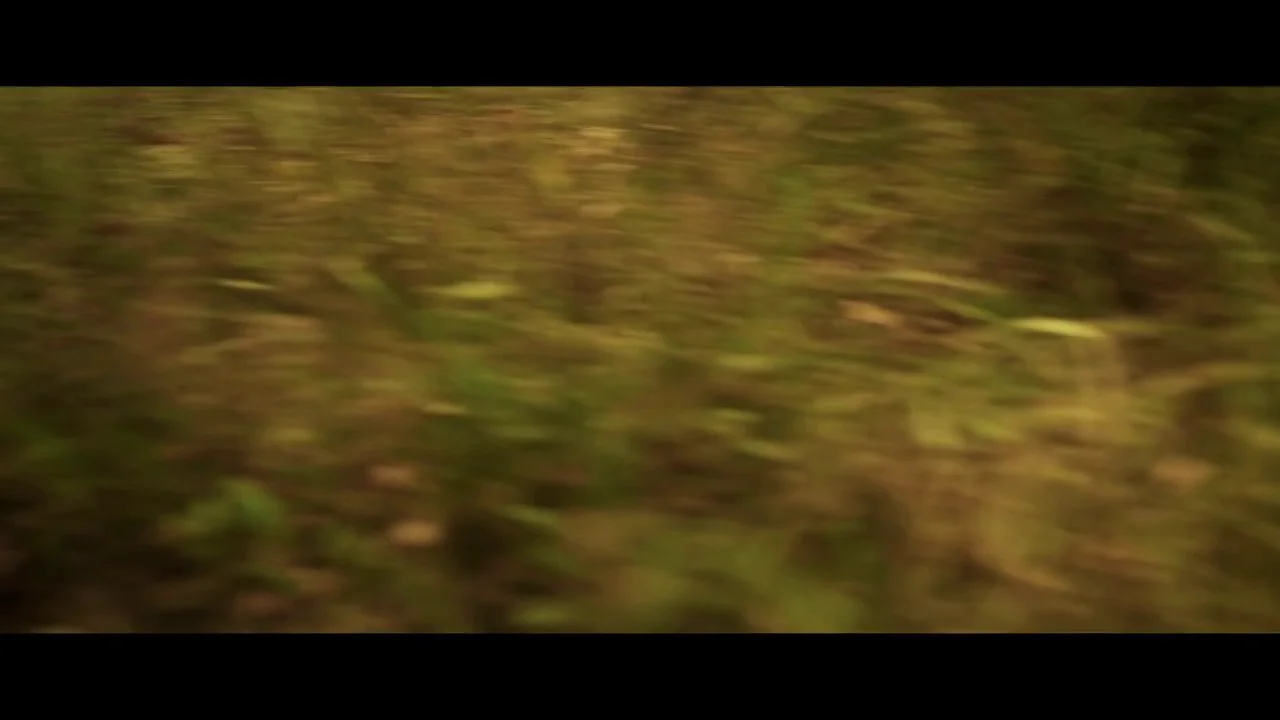 The Game on Vimeo