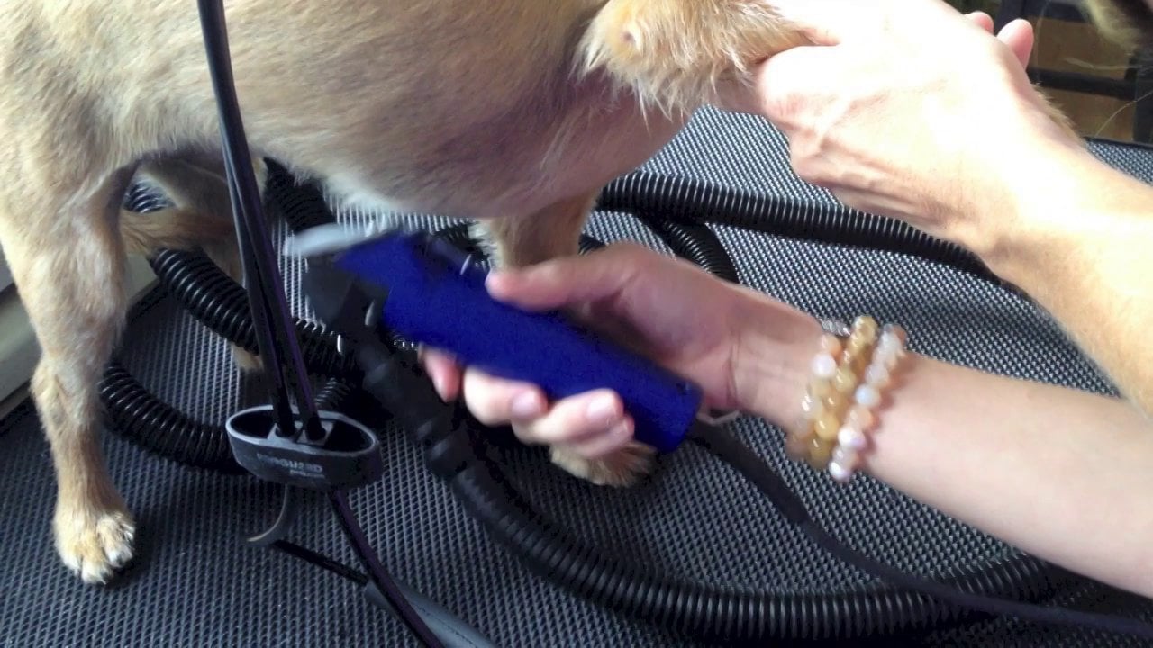 Mobile Pet Grooming Suwanee, Duluth, Alpharetta, Cumming, Sandy