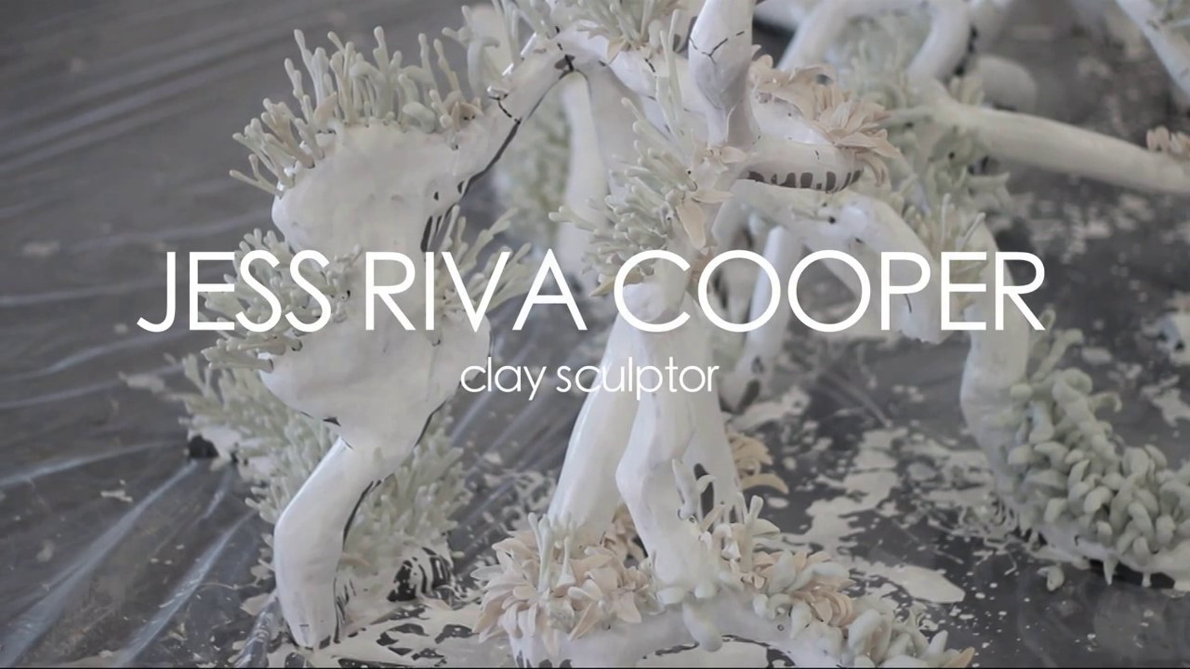 Art Revealer - Jess Riva Cooper, clay sculptor | Videos & Movies on Vimeo