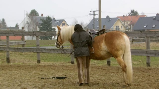 A Woman Tacks Up Her Horse