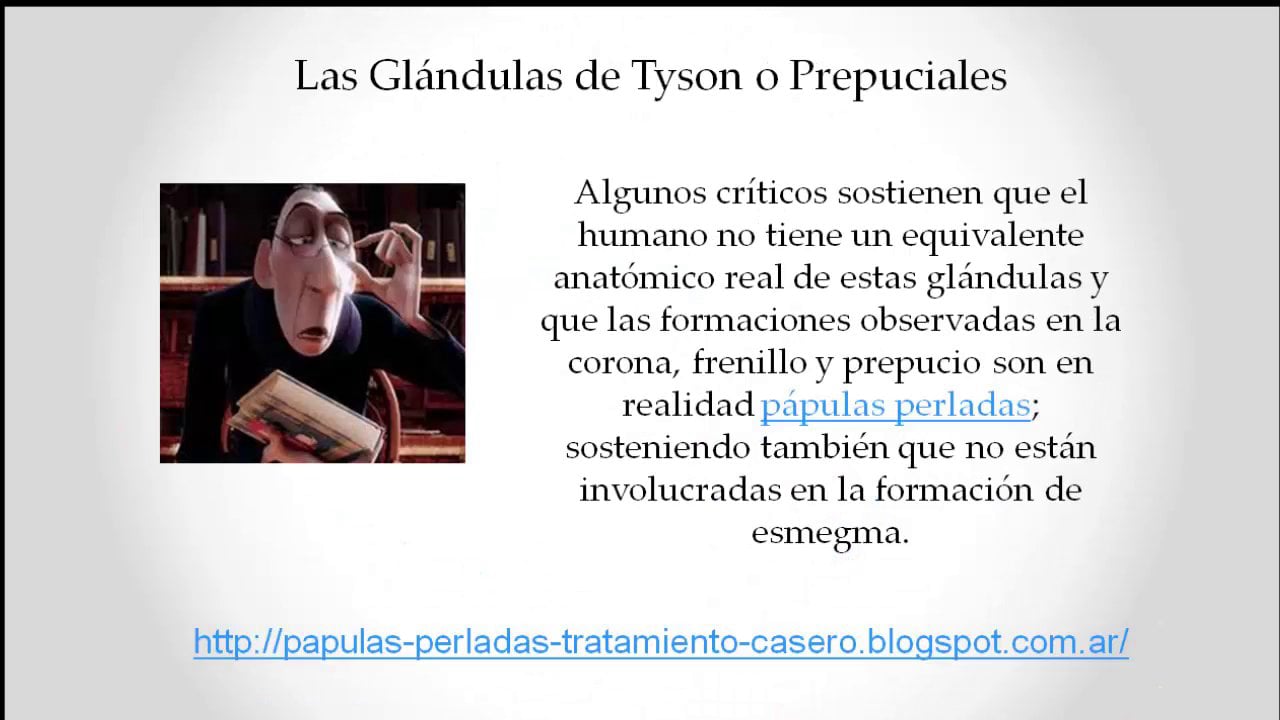 Que Son Las Glandulas de Tyson o Prepuciales on Vimeo