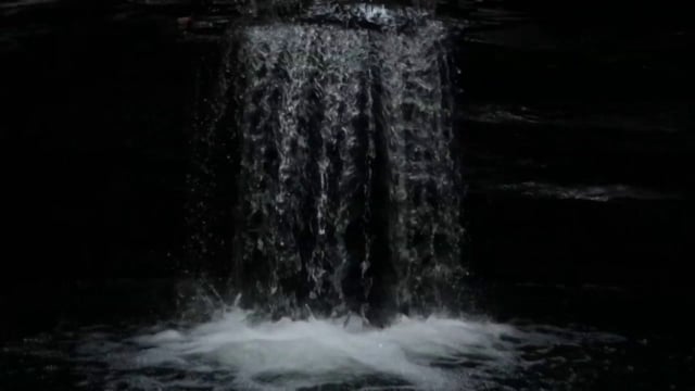 The Delight of Nature Part 2