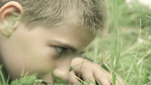 Denver Children's Advocacy Center - Customer Success Story