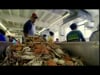 Bizarre Foods America