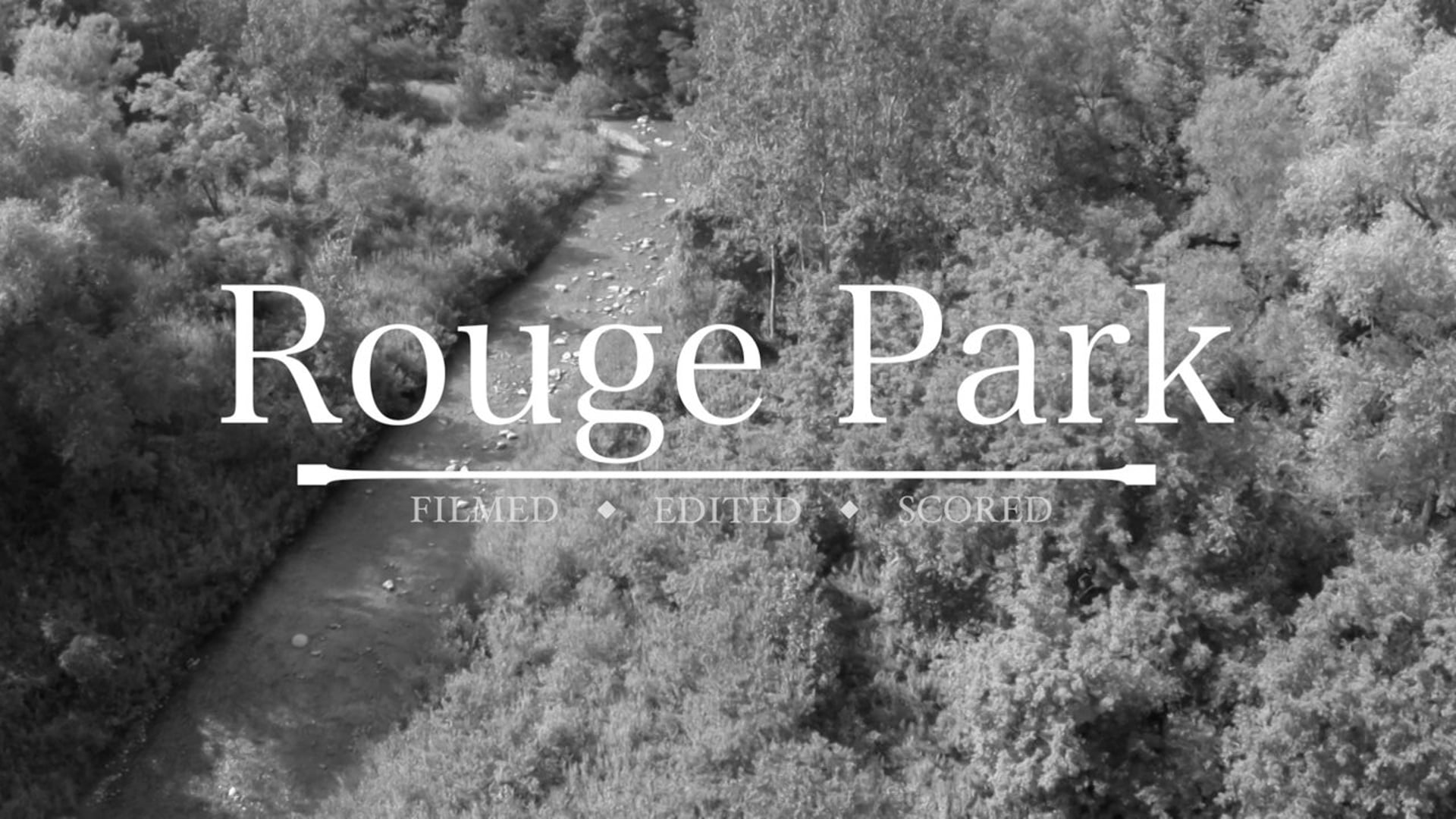 Rouge Park from the sky