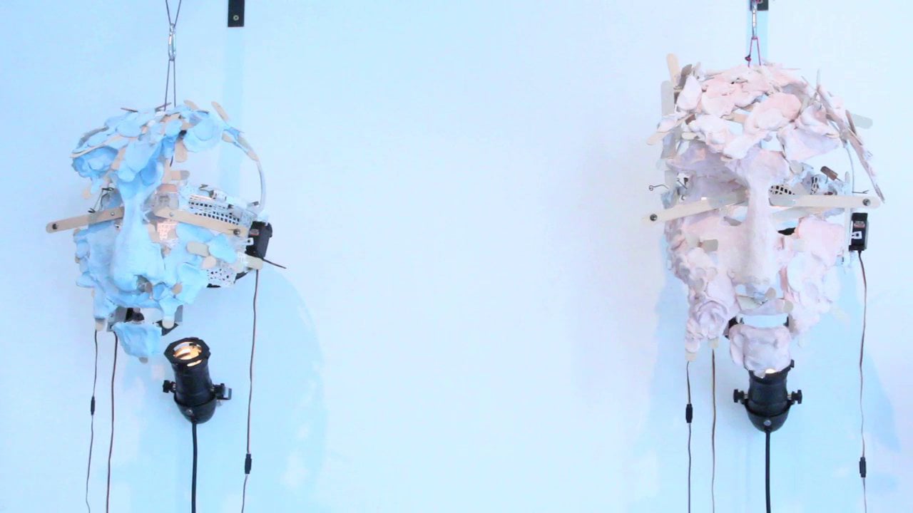 ThE STUdENT MASkS