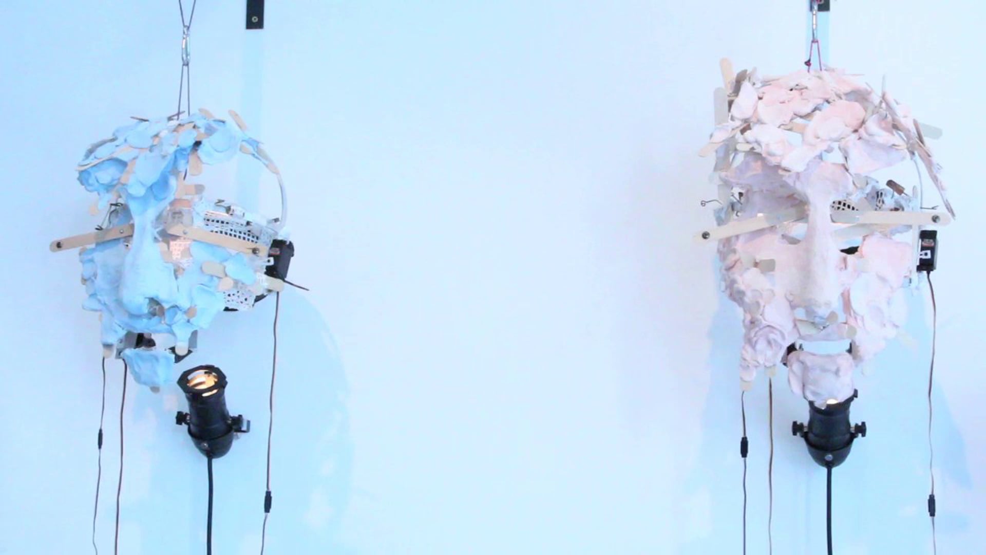 ThE STUdENT MASkS