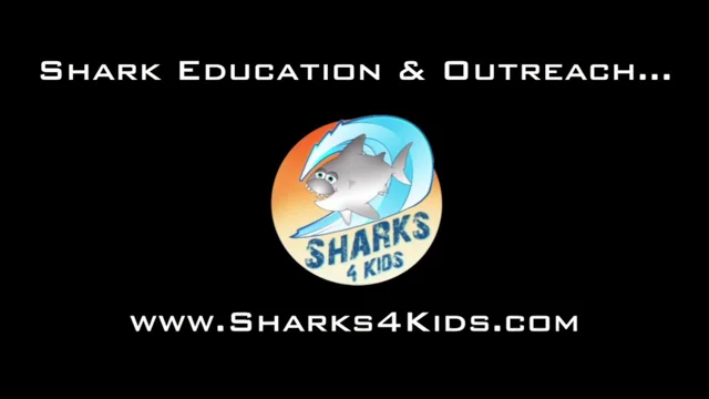 Save on Shark, Games & Activities