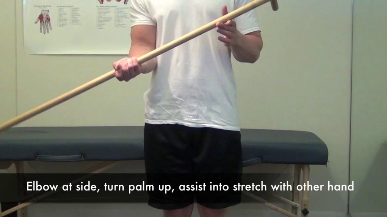 Forearm supination stretching discount exercises