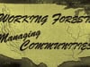 Working Forests, Managing Communities