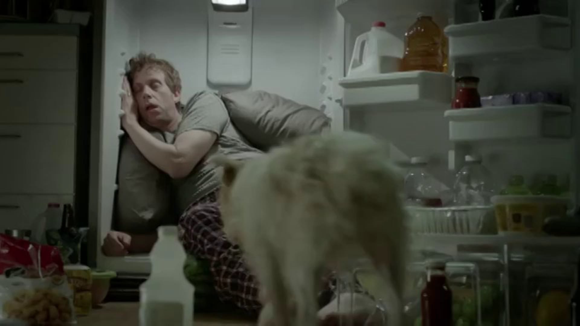 Sealy -  "Coolsense"