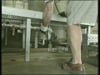 Dirty Jobs visits the J.M. Clayton Co.