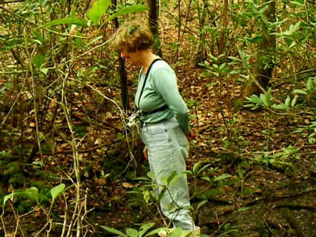 Exploring a steephead ravine in north Florida on Vimeo