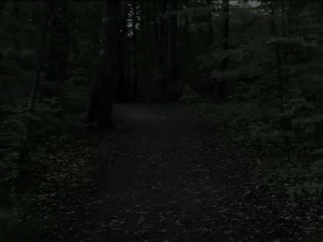 I den djupaste bokskogen under den mörkaste delen av natten vaknade zombies och vampyrer till liv. En av dem var jag. Och vi skapade performancet Undead in the night tre nätter i maj. 72 skådespelare, två violinister, en operasångerska, en flöjtist, två h